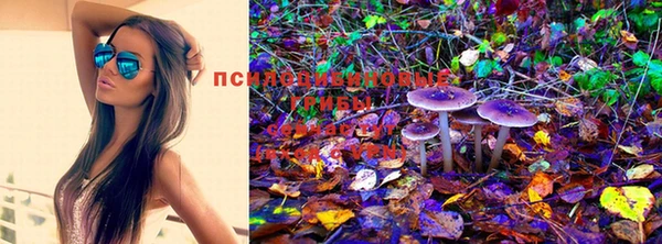 бошки Осташков