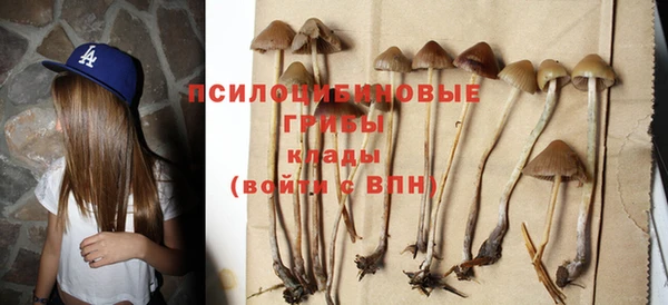 трава Абаза